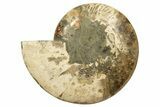 Huge, Sliced Ammonite Fossil (Half) - Crystal Filled #317429-1
